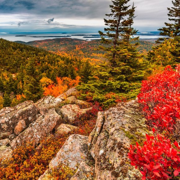 Meet your Posher, Arika - Picture 1 of 1